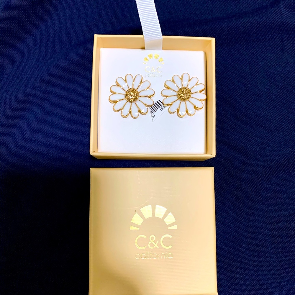 Women fashion earring .